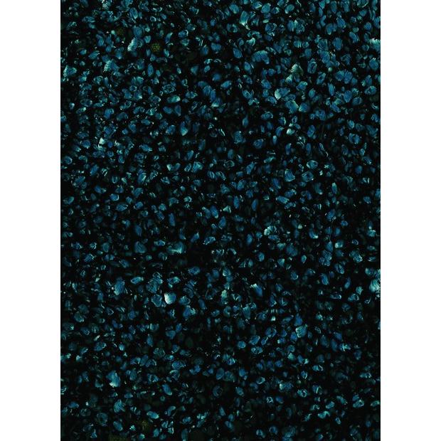Dalyn Rugs BZ100 Belize 3 Ft. 6 In. X 5 Ft. 6 In. Rectangle Rug in Teal
